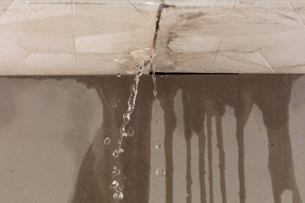 Professional Flood Damage Cleanup technician working in Lyons, OH